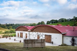 Esencial - Top 5 vinos para los sentidos