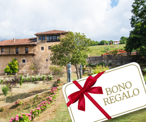 Bono regalo visita experiencia esencial bodega Palacio de Nevares para dos personas